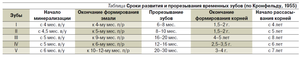 timing of tooth growth