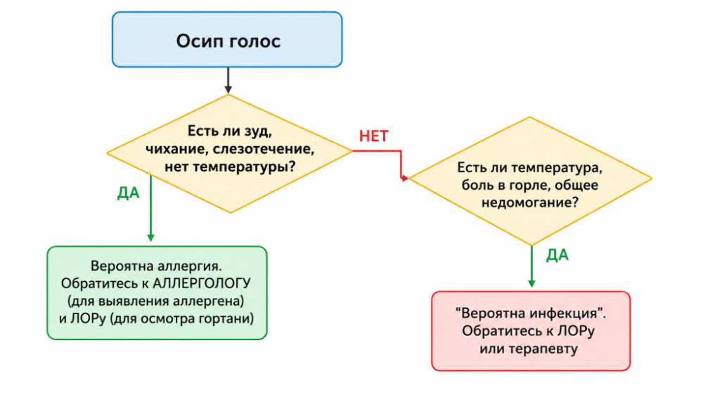 Алгоритм выбора врача при осиплости голоса: ЛОР или аллерголог